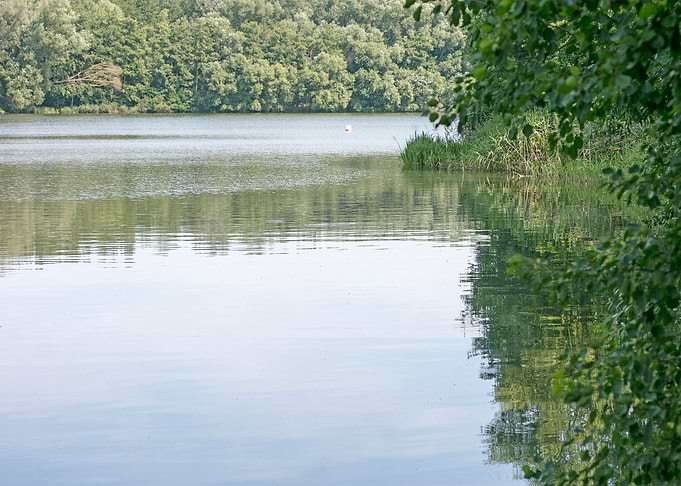 Brombachsee zeltwiese area