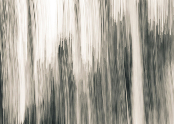 Panning Trees