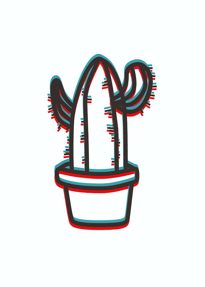 The cactus shadow
