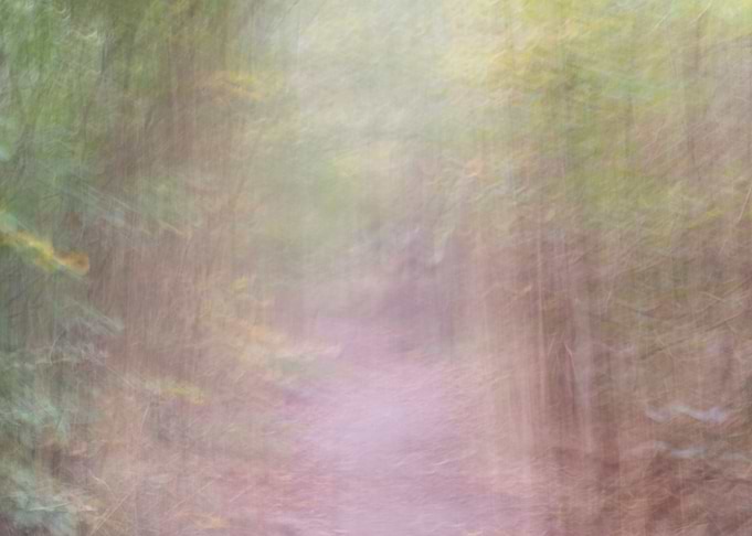 Panning Trees