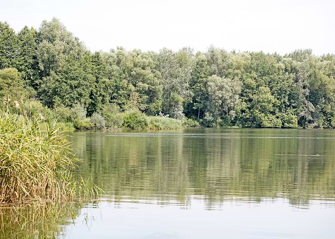 Brombachsee zeltwiese area