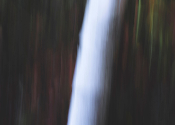Panning Trees