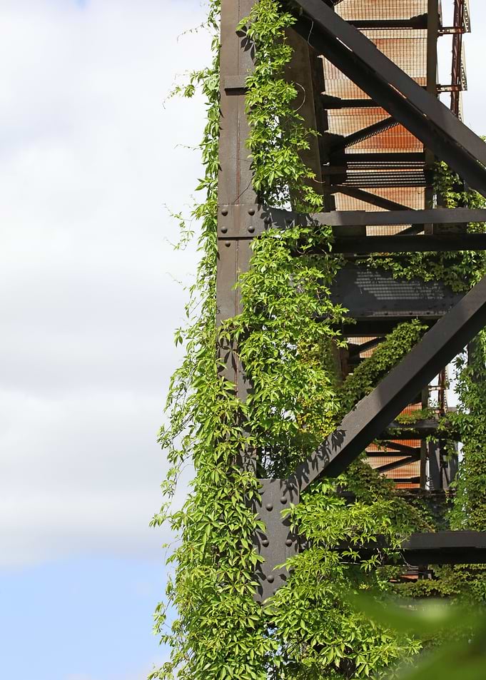 Old factory area Duisburg