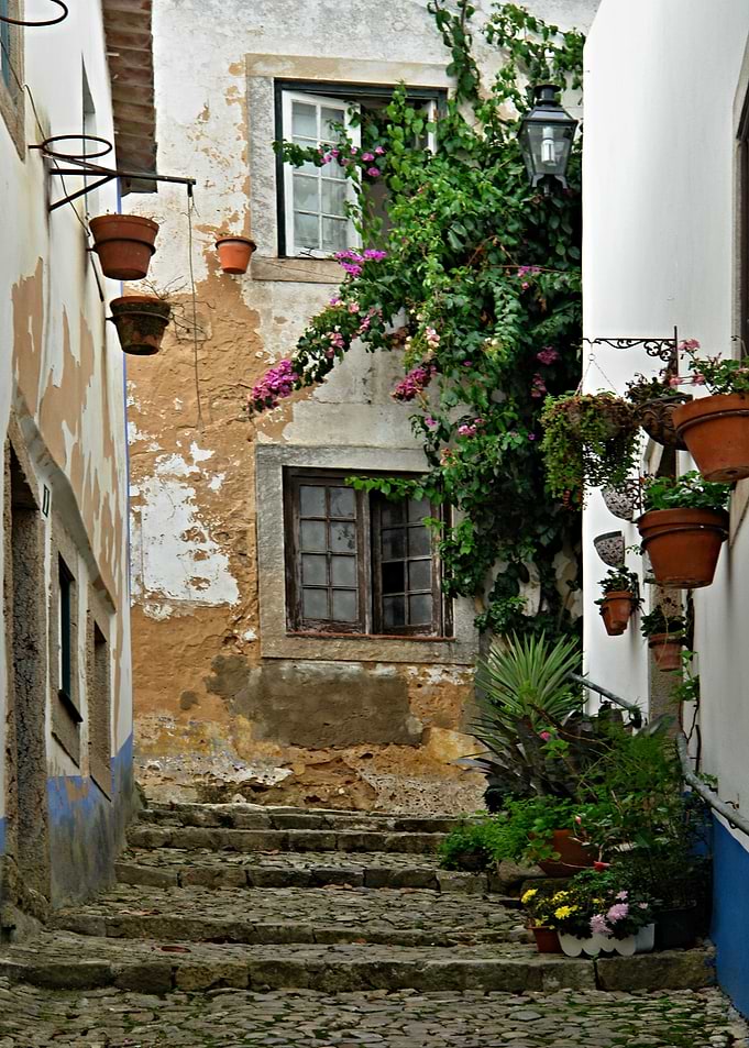Idyllic narrow street