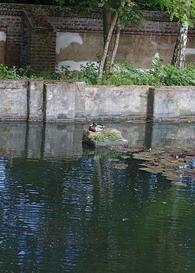 Abandoned old factory area