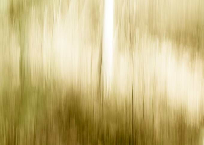 Panning Trees