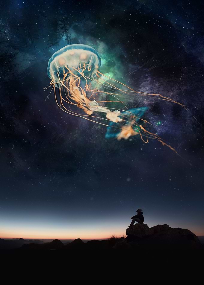 Nocturnal Medusa