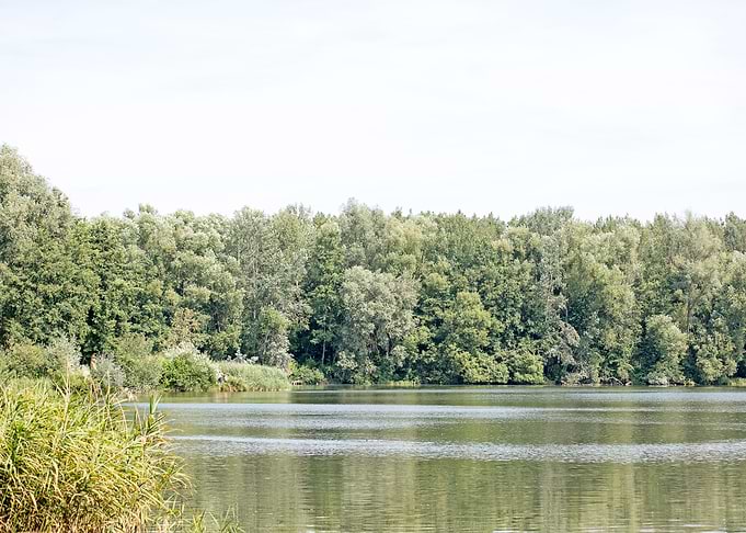 Brombachsee zeltwiese area