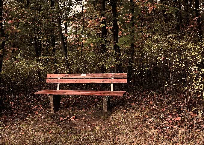 Loneliness