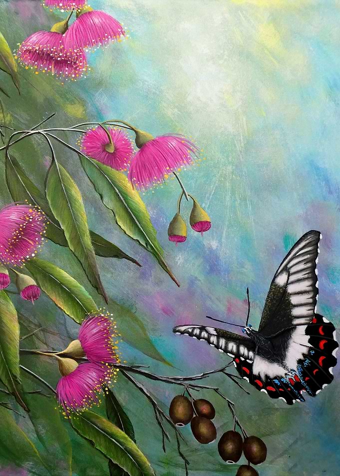 Gum blossoms and butterfly