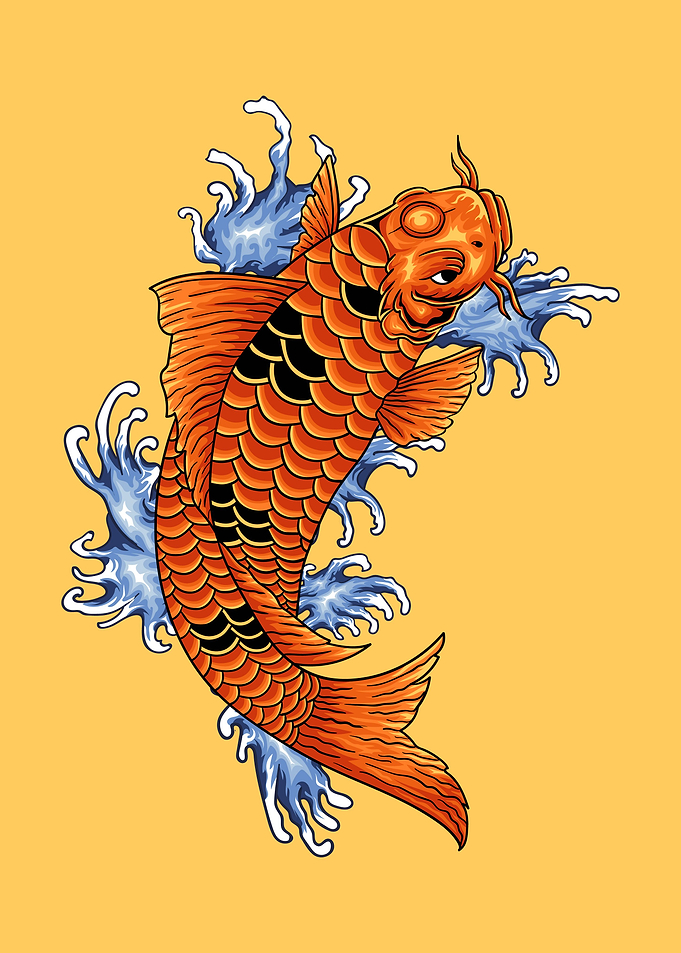 Japanese koi fish