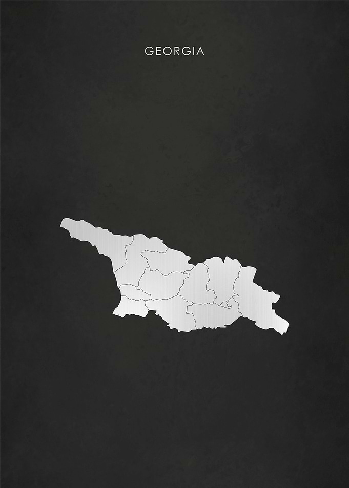 Silver Georgia Map