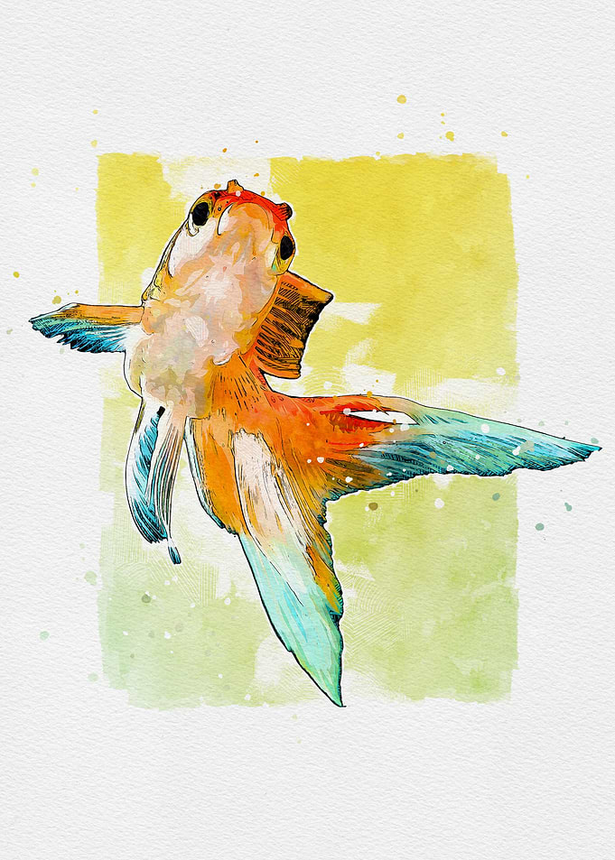 Goldfish