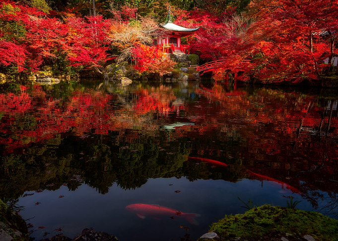 Lake with autumn forest