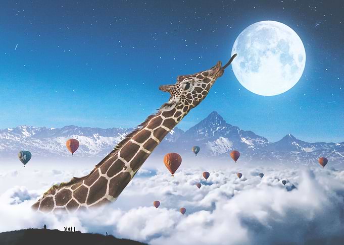 Reach for the moon