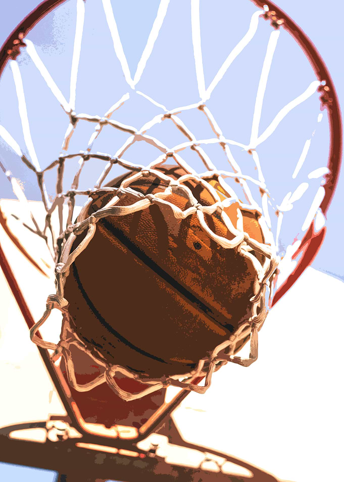 Basketball Net