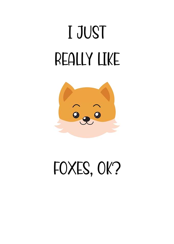 I Just Really Like Foxes