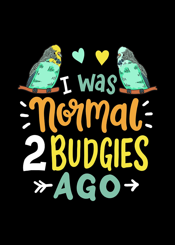 Budgie Budgerigar Parake