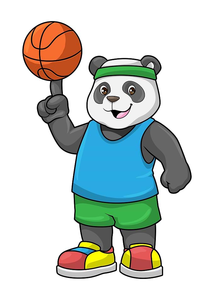 Panda Sports Basketball