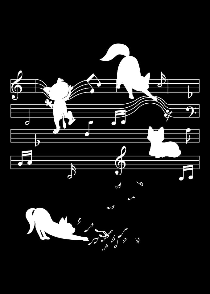 Cat Notes Play Musician an