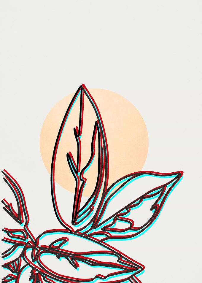 Lineart my plant