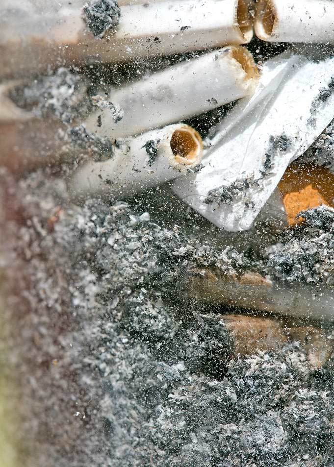 Smoke weed every day joint