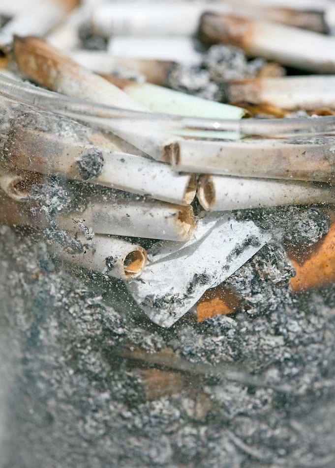 Smoke weed every day joint