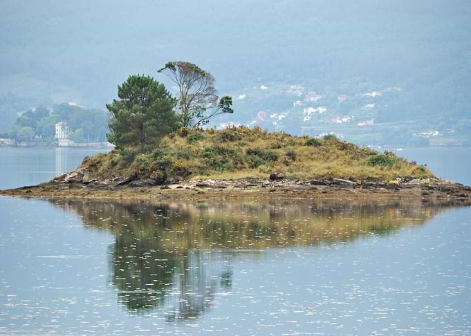Island in the Ria