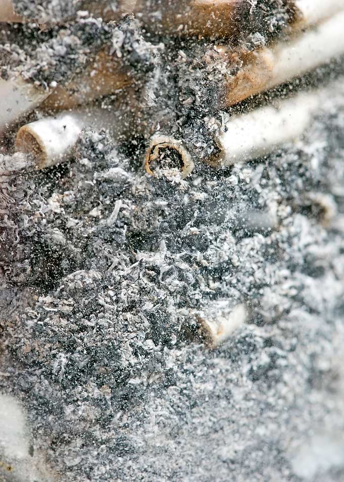 Smoke weed every day joint