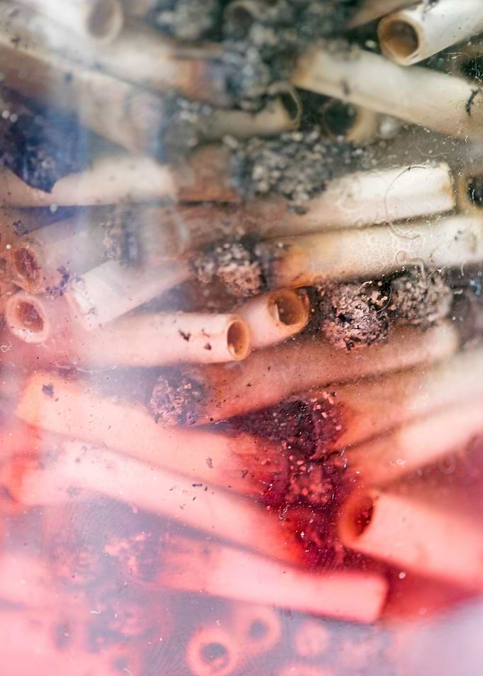 Smoke weed every day joint