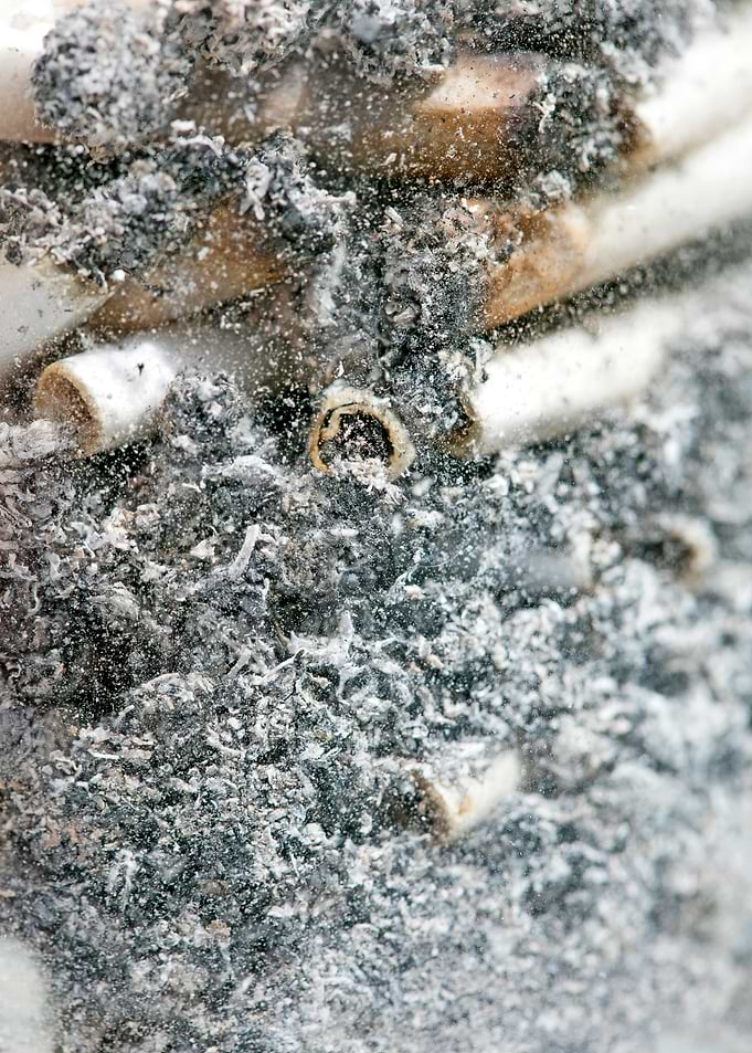 Smoke weed every day joint