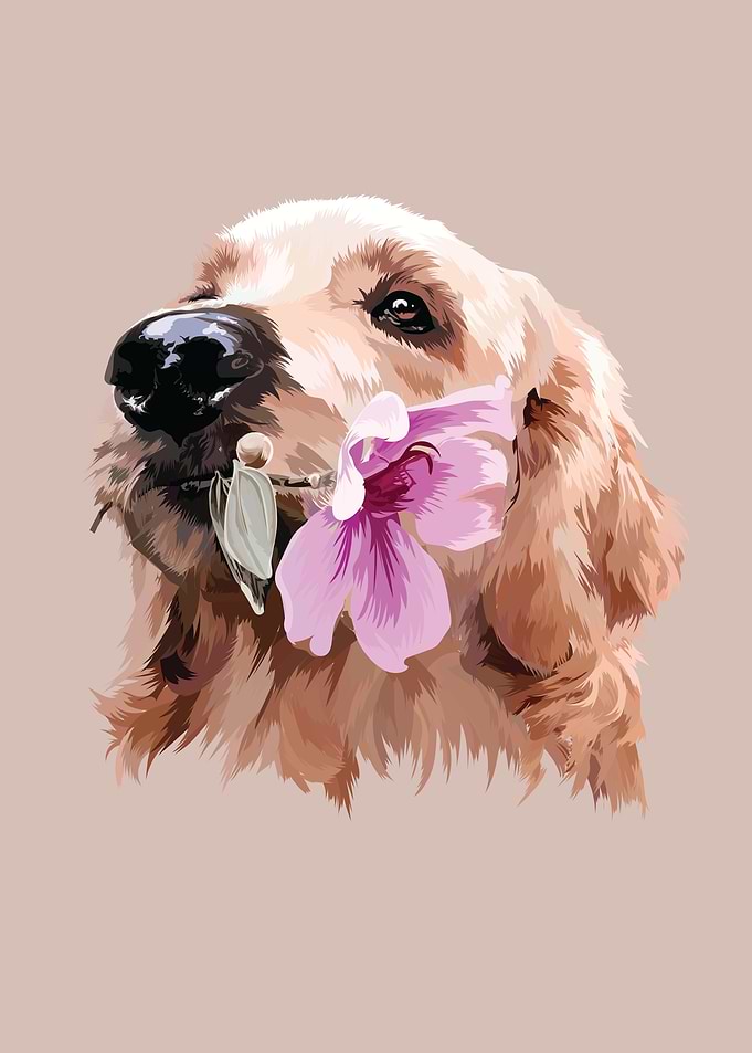 compassionate dog