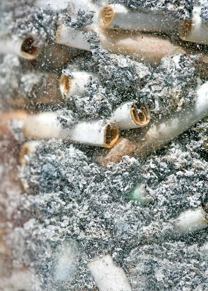 Smoke weed every day joint
