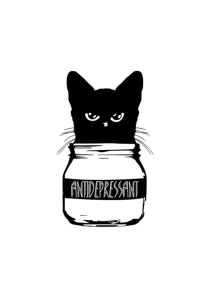 Cat AntiDepressant