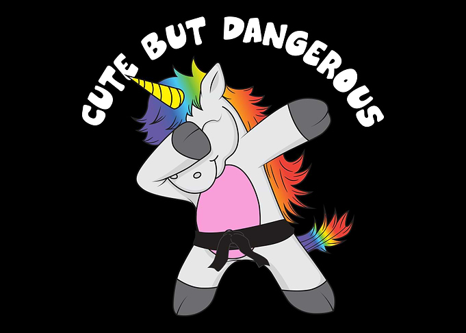 Karate Unicorn Gift