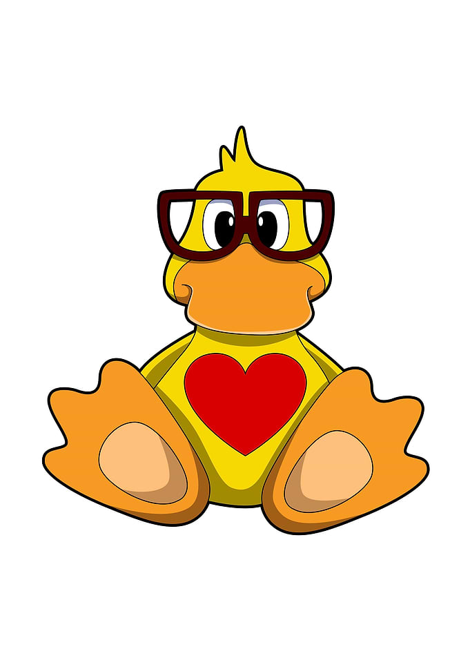 Duck Heart Glasses