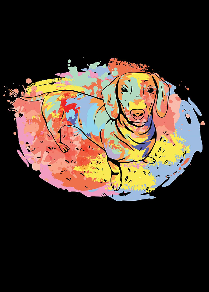 Dachshund Shirt