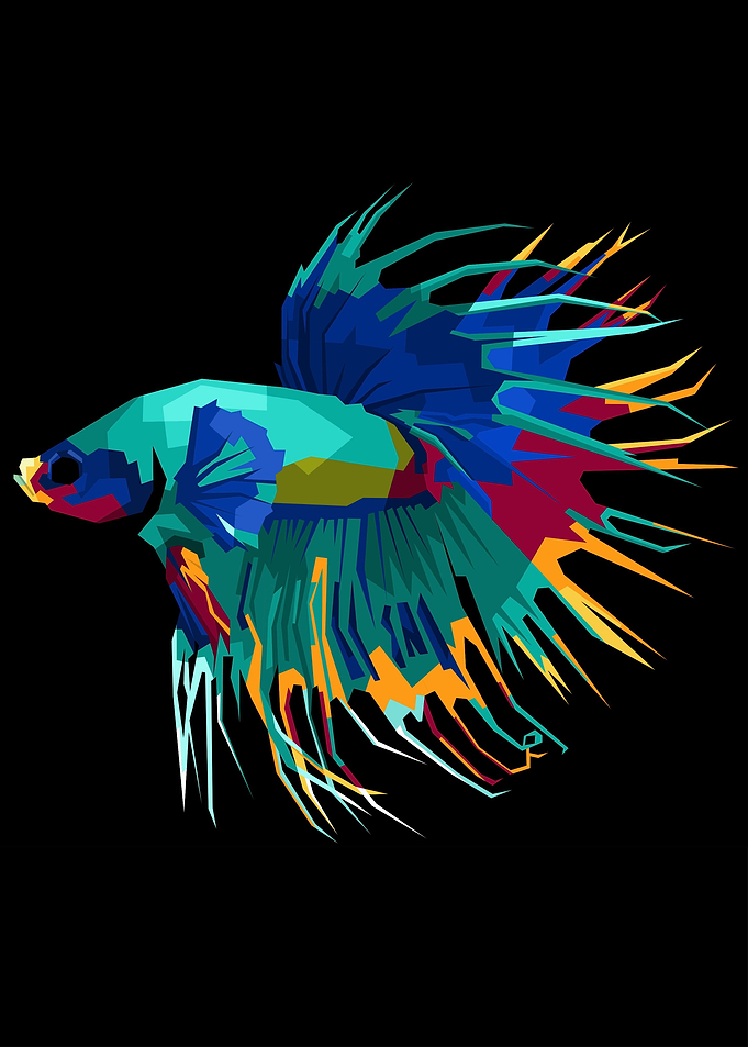Crown Tail Betta