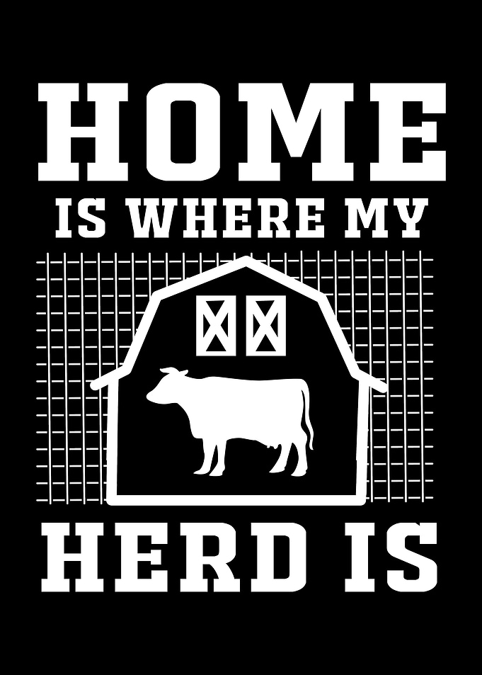 Heifer Farm Herd