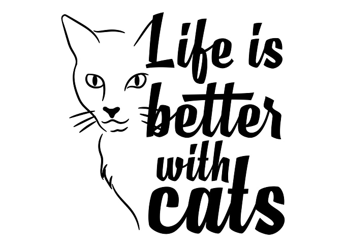 Cats gift