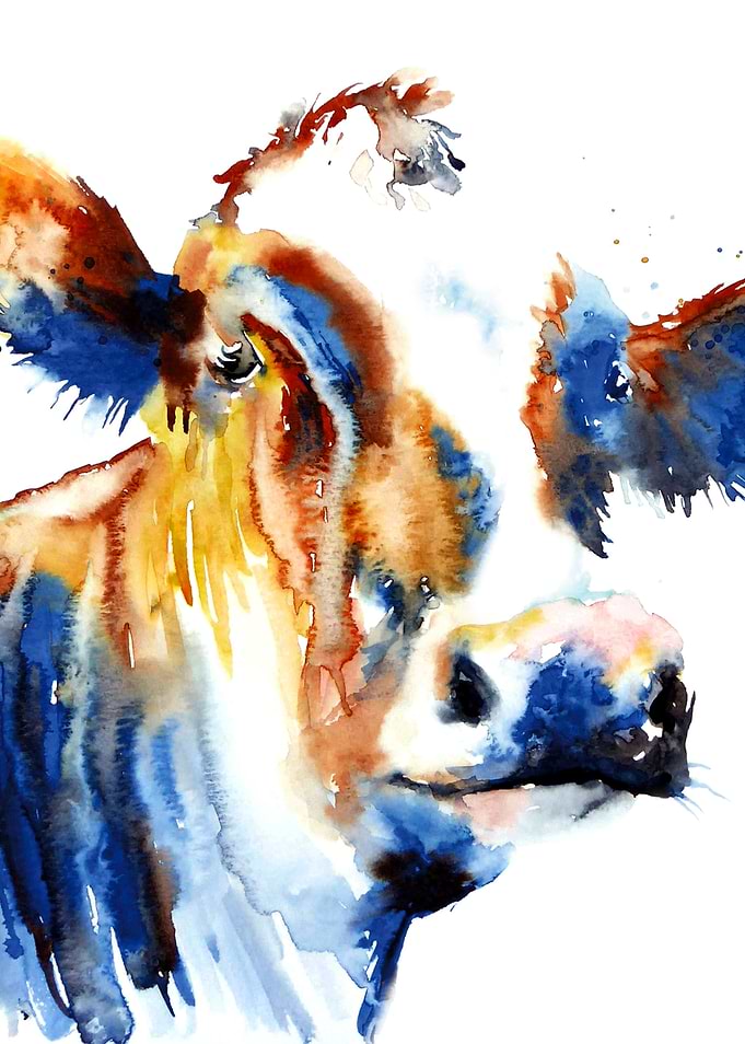 Brown Cow