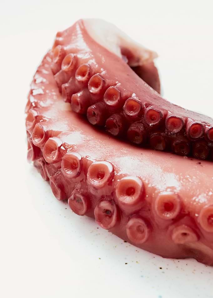 Boiled octopus