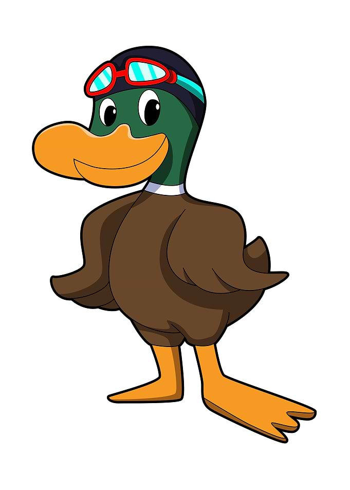 Duck Swimming