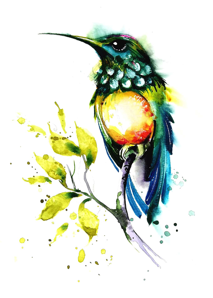 Humming Bird