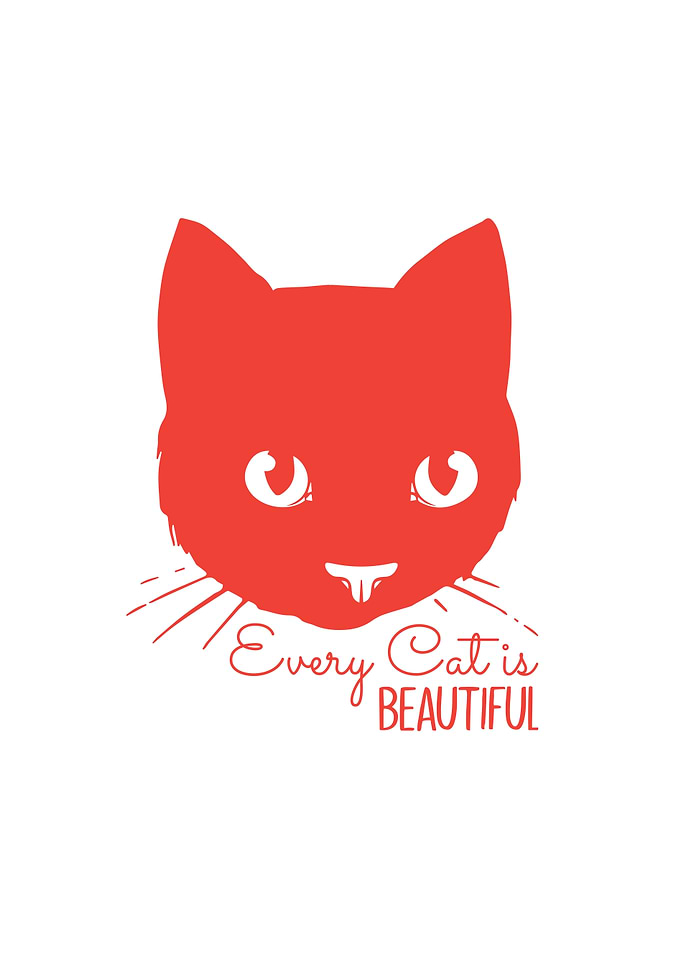 Every Cat is Beautiful