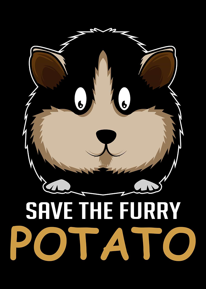 Furry Potato Guinea Pig Ow