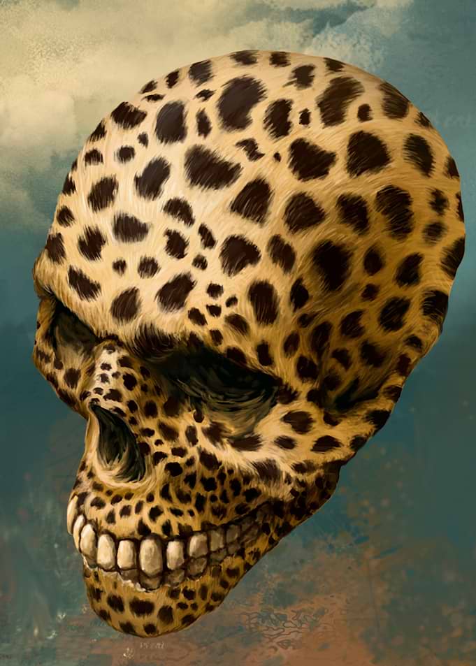 Tiger skull