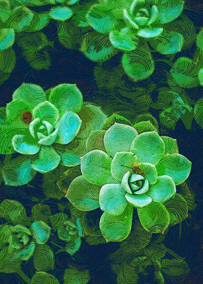 Fresh Green Succulents