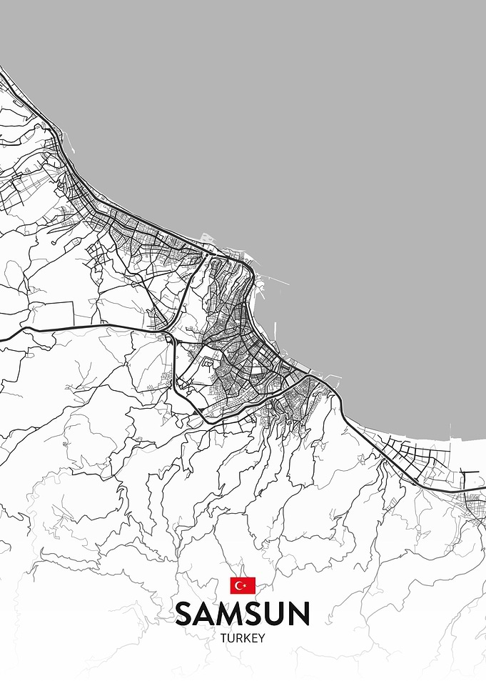 Samsun TR