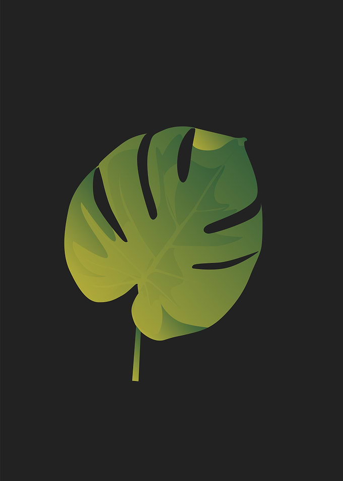 monstera leaf4